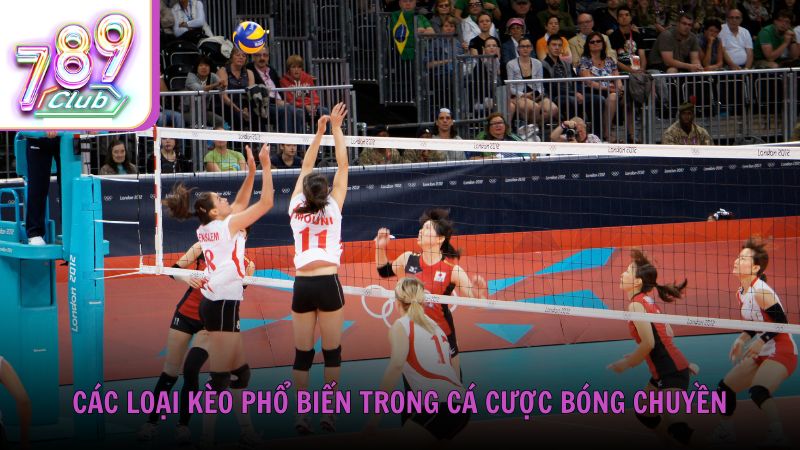 Các loại kèo phổ biến trong cá cược bóng chuyền cần nắm rõ