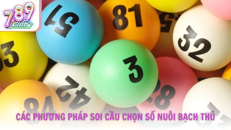 Các phương pháp soi cầu để chọn số nuôi bạch thủ của 789Club