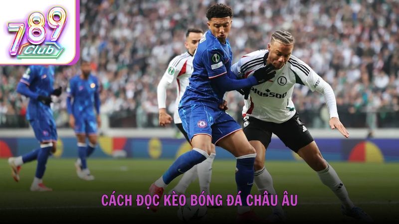 Cách đọc kèo bóng đá châu Âu và tính toán lợi nhuận cược
