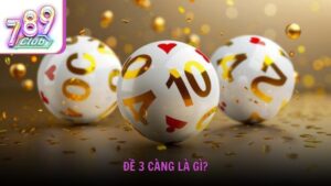 Đề 3 càng là gì?