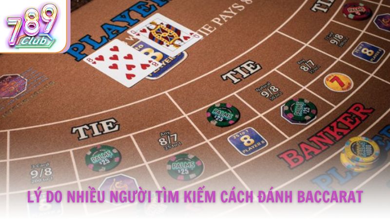 Lý do nhiều người tìm kiếm cách đánh Baccarat không bao giờ thua
