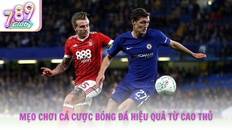 Mẹo chơi cá cược bóng đá hiệu quả từ cao thủ