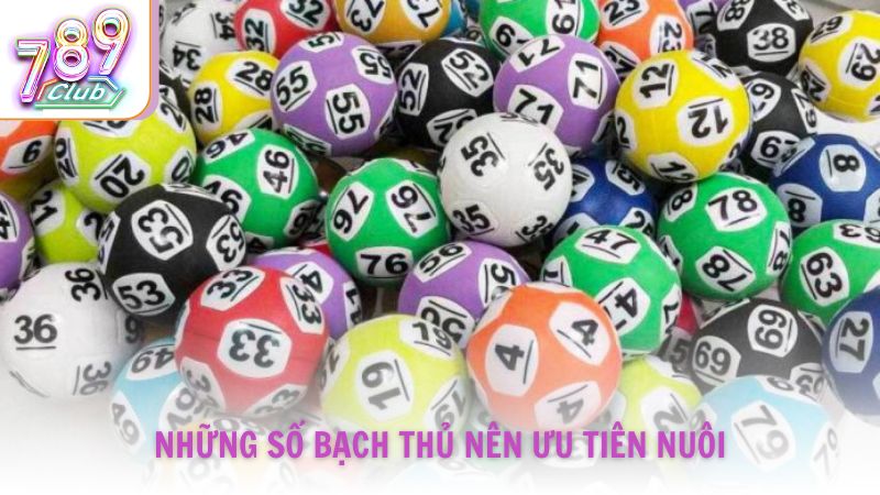 Những số bạch thủ nên ưu tiên nuôi trong khung 5 ngày tại 789Club