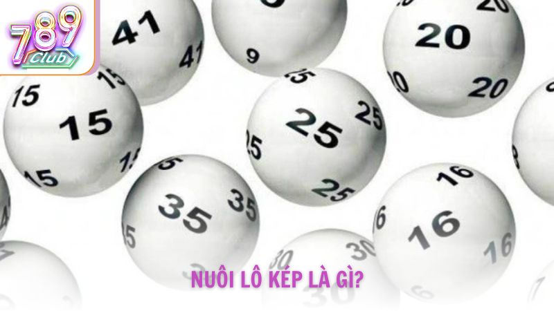 Nuôi lô kép là gì?