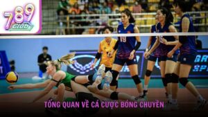 Tổng quan về cá cược bóng chuyền và lý do ngày càng được yêu thích