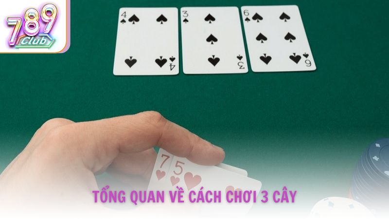 Tổng quan về cách chơi 3 cây dành cho người mới