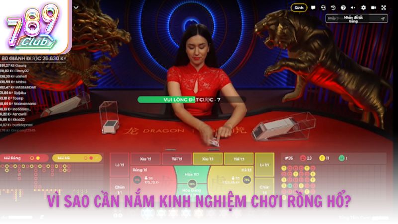 Vì sao cần nắm kinh nghiệm chơi Rồng Hổ?