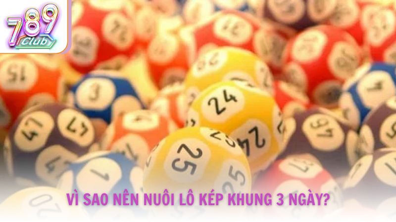 Lô kép là gì và vì sao nên nuôi khung 3 ngày?