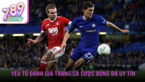 Những yếu tố đánh giá một trang cá cược bóng đá uy tín